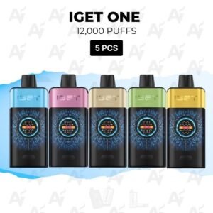 5 PCS – IGET One 12000 Puffs