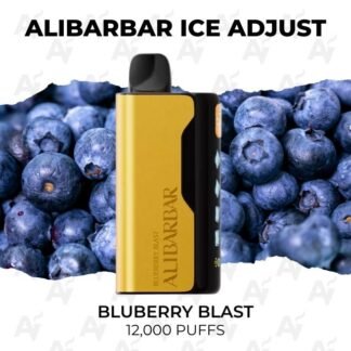 Alibarbar ice adjust 12000 puffs bluberry blast.jpg