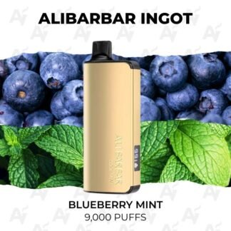Alibarbar ingot 9000 puffs blueberry mint 1.jpg