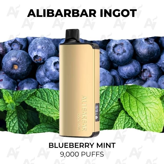 Alibarbar ingot 9000 puffs blueberry mint 1.jpg