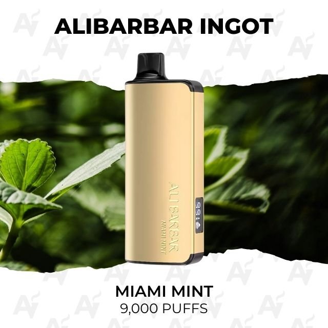 Alibarbar ingot 9000 puffs miami mint.jpg