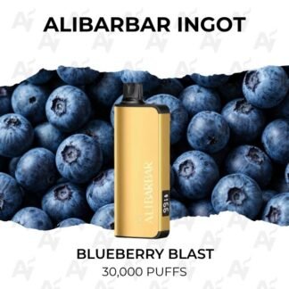 Alibarbar ingot blueberry blast 30000 puffs.jpg