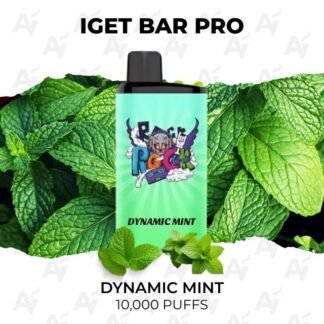 Iget bar pro 10000 dynamic mint 1.jpg