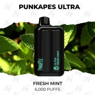 Punkapes ultra 6000 fresh mint.webp