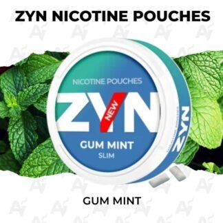 Zyn nicotine pouches gum mint.jpg